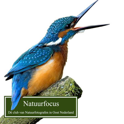 Natuurfocus