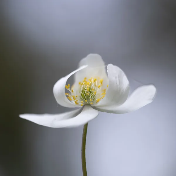 24mrt2026_6290 kopie