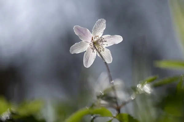 24mrt2026_6326 kopie