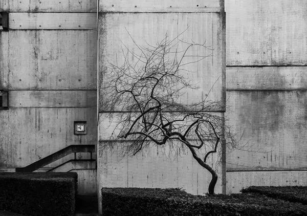 03feb2026_4165 kopie2