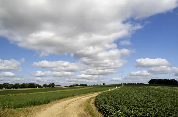 030725_2945-Pano kopie
