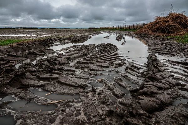 Landschappen