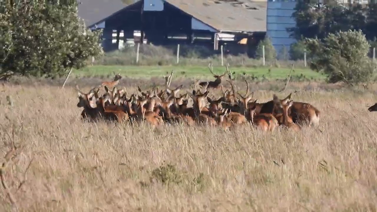 260909_Herten_DSCN6818