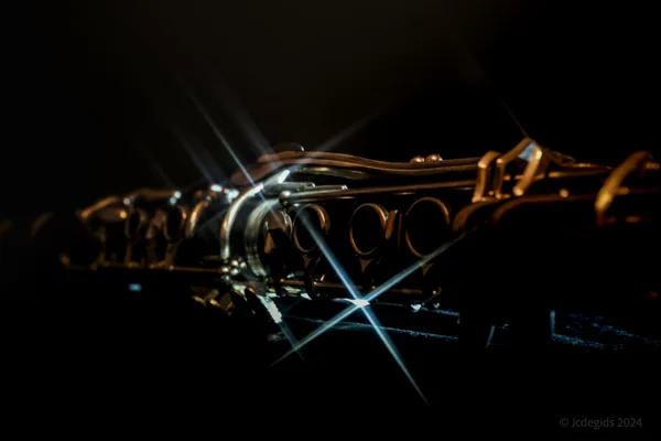 Fotogalerij - IB-Muziek instrumenten
