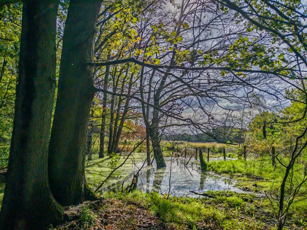 Fotogalerij - IB-Landschapsfotografie