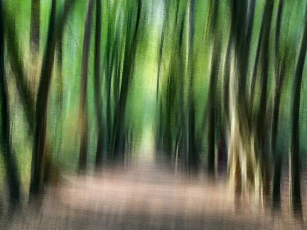Fotogalerij - IB-Creatieve en abstracte natuurfotografie